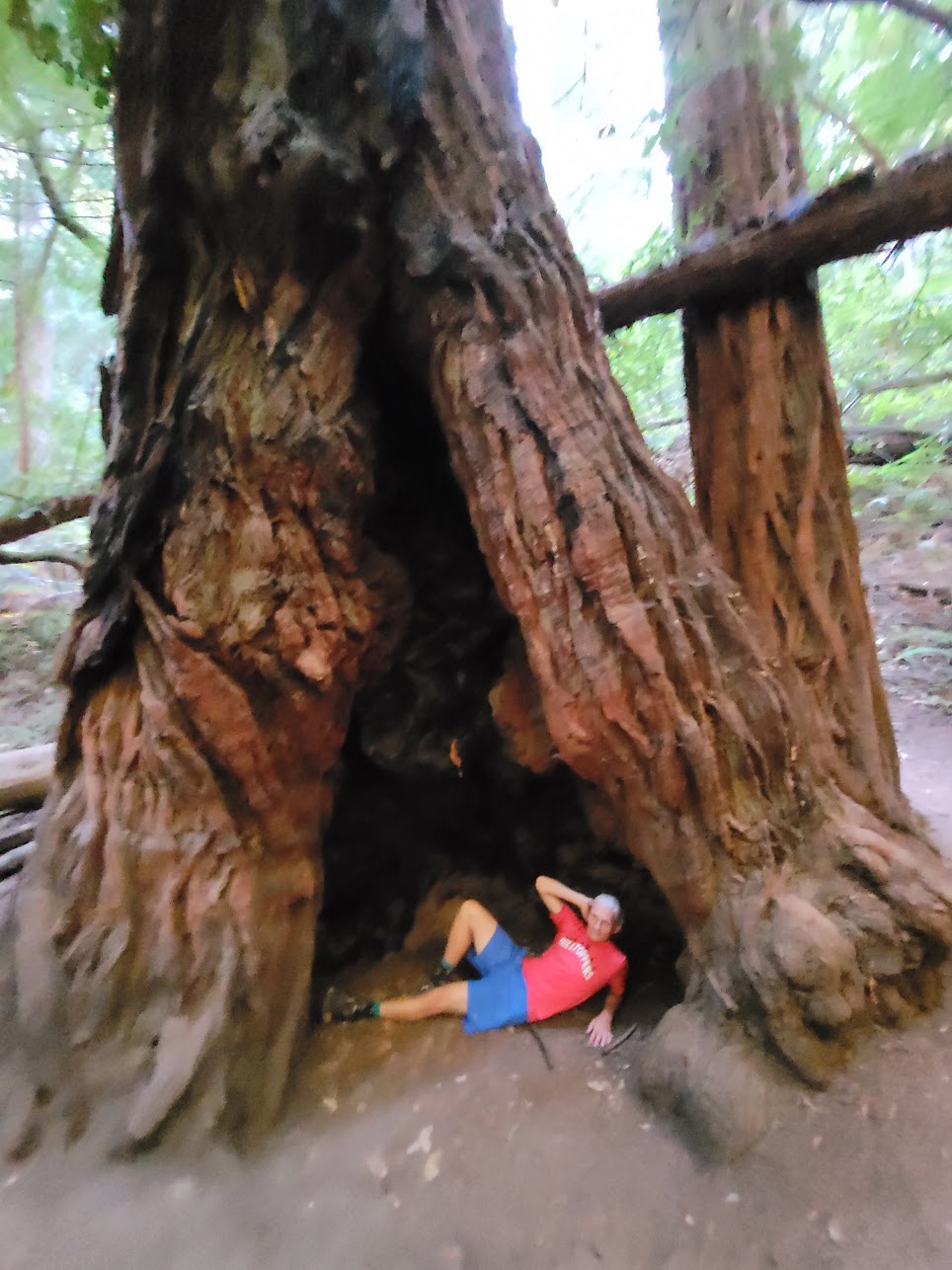 me-inside-tree.jpg